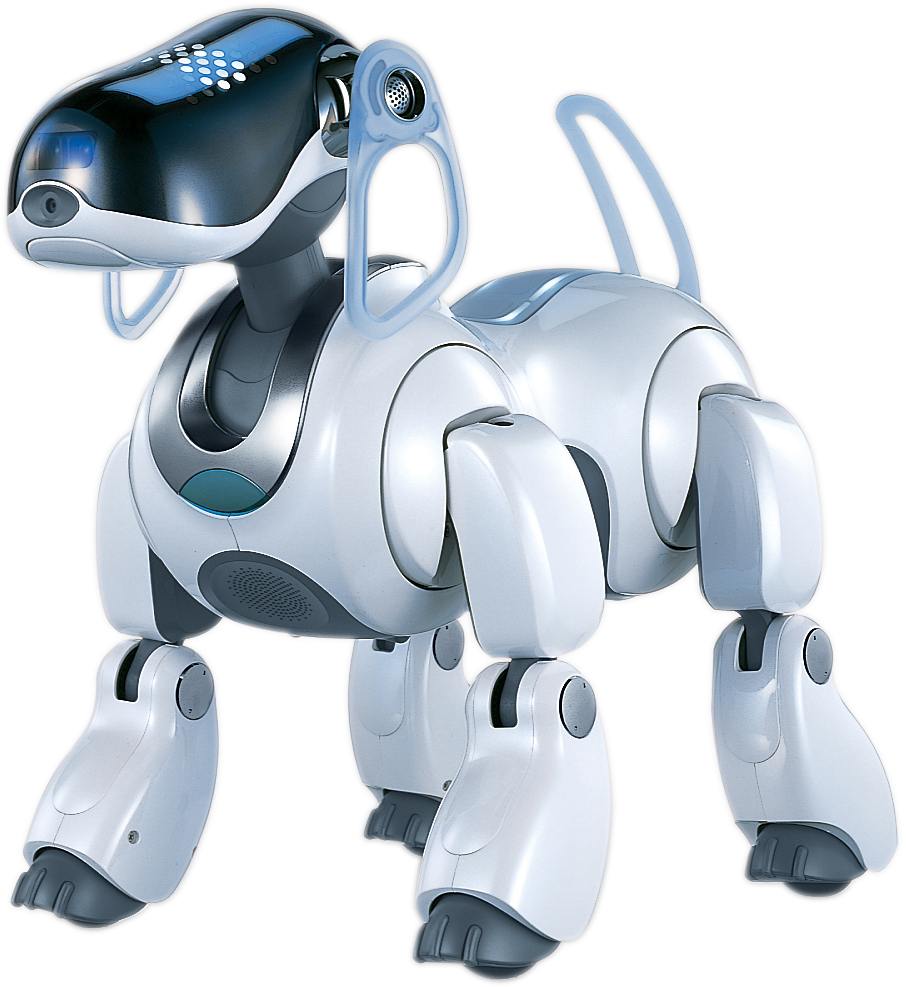 Japanese robot deals dog